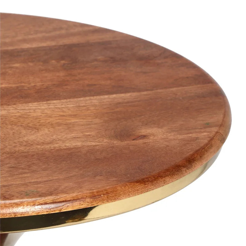 Table d'appoint Christopher Knight Home en bois de manguier et métal